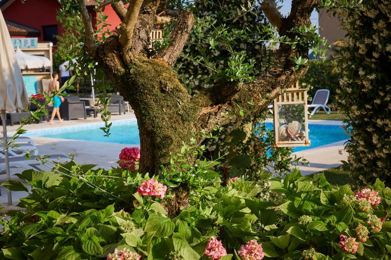 Follina Hotel Villaguarda Prosecco Area מראה חיצוני תמונה